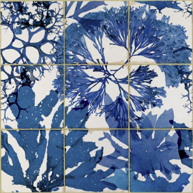 Papel de parede ALGAE IN BLUE WP20179 - MIND THE GAP