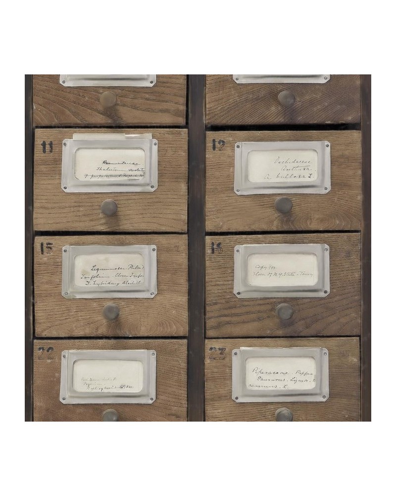 Papier bemalt APOTHEKAR NeutraL WP20264 - MIND THE GAP Papier bemalt APOTHEKAR NeutraL WP20264 - MIND THE GAP