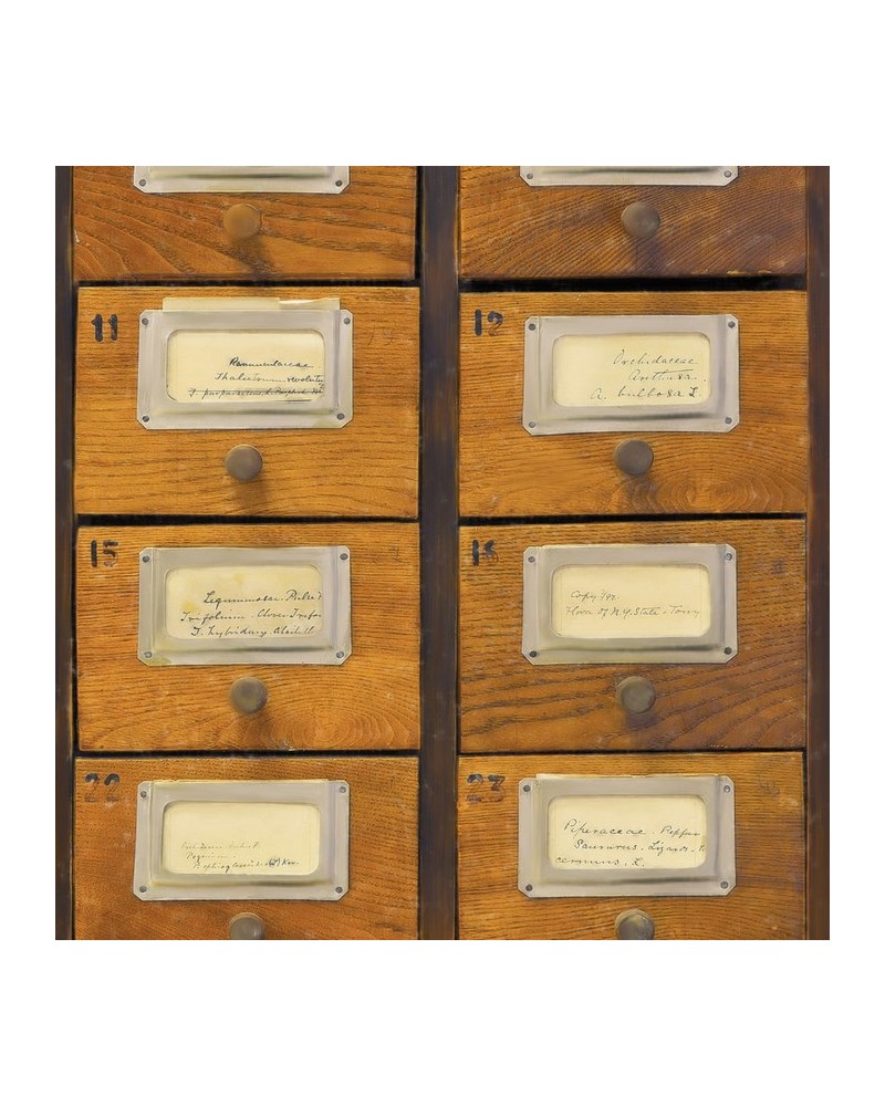 Papier peint APOTHECARY WP20249 - MIND THE GAP Papier peint APOTHECARY WP20249 - MIND THE GAP