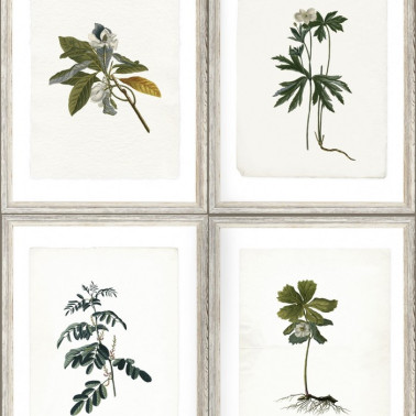 Papel Pintado BOTANY WP20153 - MIND THE GAP