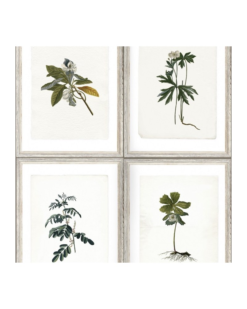 Papier bemalt BOTANY WP20153 - Ja. MIND THE GAP Papier bemalt BOTANY WP20153 - Ja. MIND THE GAP
