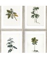 Papier bemalt BOTANY WP20153 - Ja. MIND THE GAP