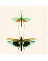 Papier lackiert ENTOMOLOGY Grün WP20234 - Ja. MIND THE GAP