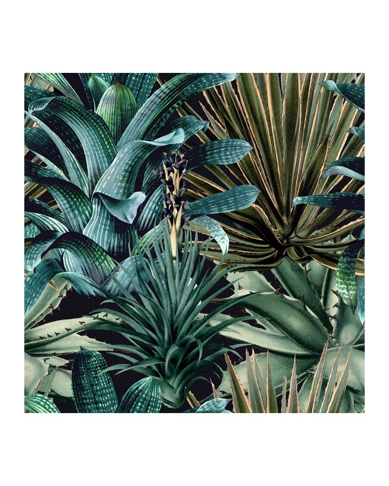 Wallpaper LUSH SUCCULENTS WP20164 - MIND THE GAP Wallpaper LUSH SUCCULENTS WP20164 - MIND THE GAP