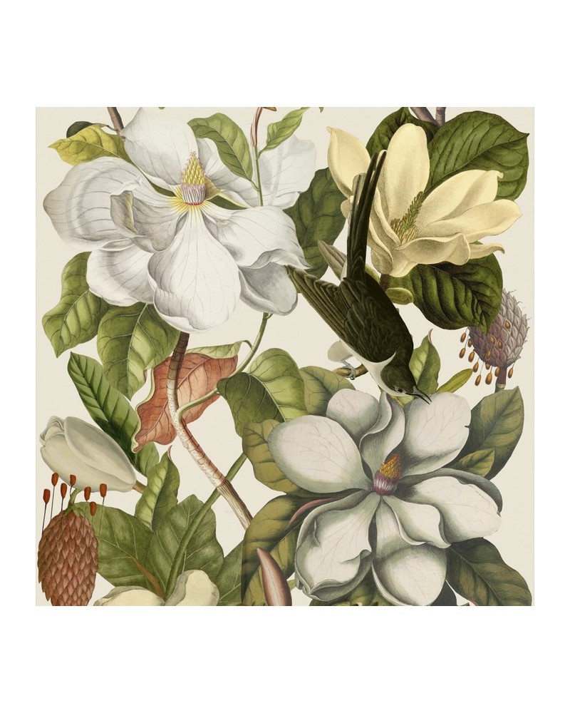 Papier lackiert MAGNOLIA Tausch WP20152 - Ja. MIND THE GAP Papier lackiert MAGNOLIA Tausch WP20152 - Ja. MIND THE GAP