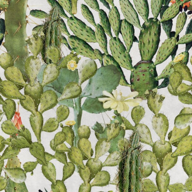 Papel Pintado OPUNTIA WP20166 - MIND THE GAP