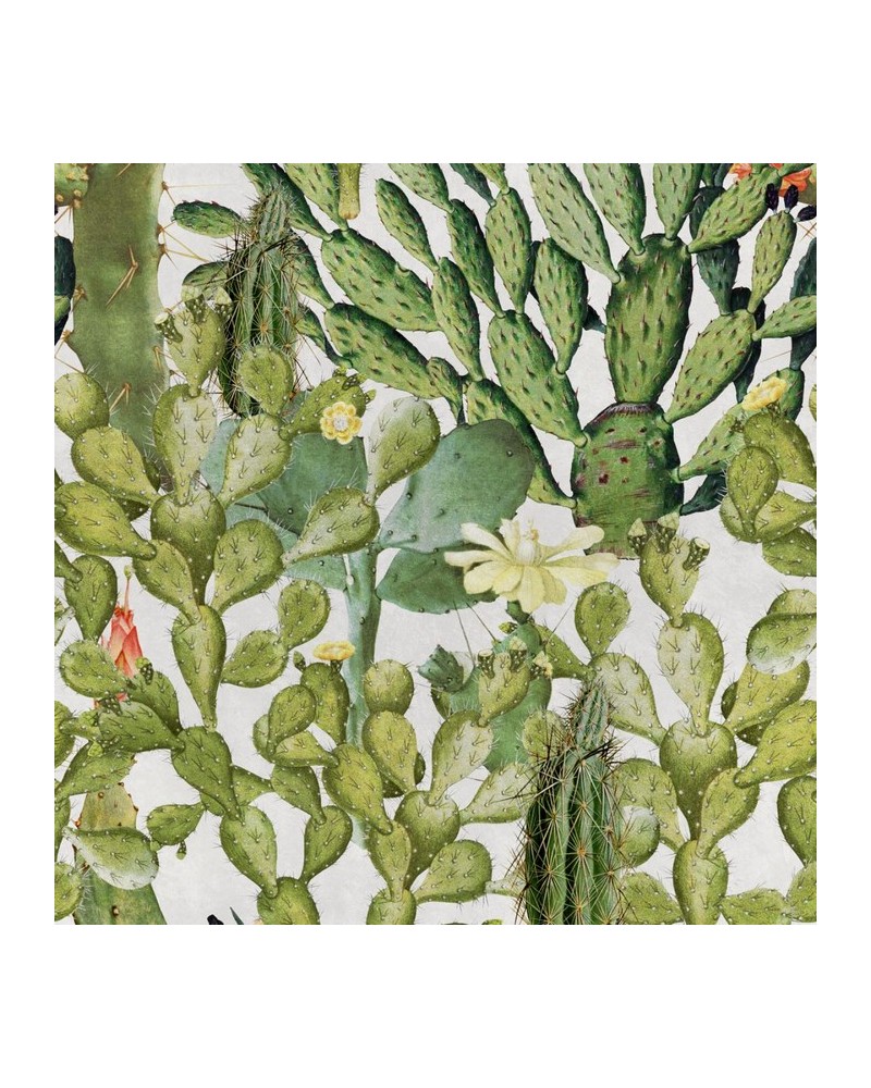 Wallpaper OPUNTIA WP20166 - MIND THE GAP Wallpaper OPUNTIA WP20166 - MIND THE GAP