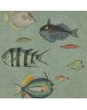POISSONS WP20181
