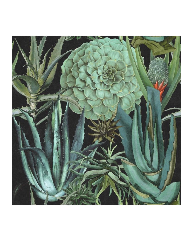 Papier peint SUCCULENTUS P20167 - MIND THE GAP Papier peint SUCCULENTUS P20167 - MIND THE GAP