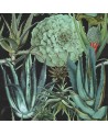 Papier peint SUCCULENTUS P20167 - MIND THE GAP