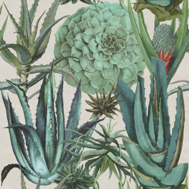 Papel Pintado SUCCULENTUS WP20168 - MIND THE GAP