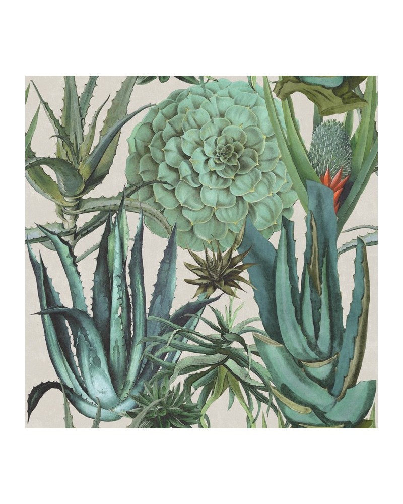 Wallpaper SUCCULENTUS WP20168 - MIND THE GAP Wallpaper SUCCULENTUS WP20168 - MIND THE GAP