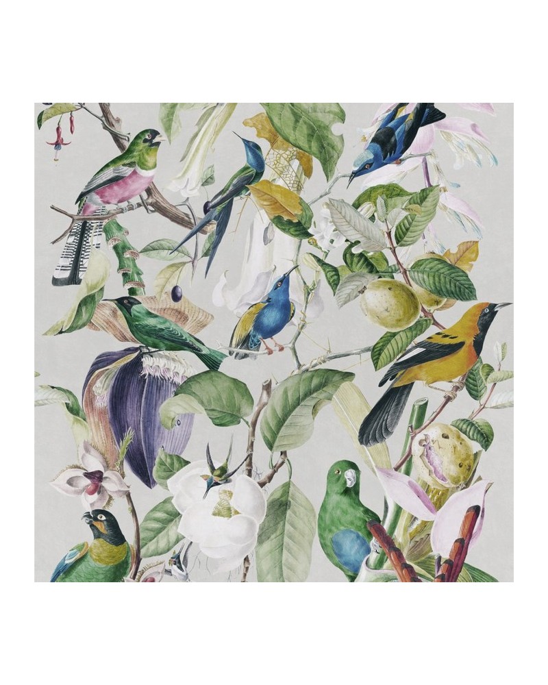 Wallpaper TROPICAL BIRDS WP20172 - MIND THE GAP Wallpaper TROPICAL BIRDS WP20172 - MIND THE GAP