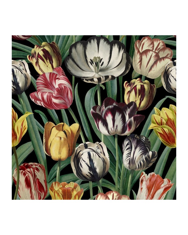 Papel de parede TULIPA WP20178 - MIND THE GAP Papel de parede TULIPA WP20178 - MIND THE GAP