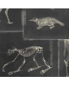 Papier peint ZOOARCHAEOLOGY Anthracite WP20237 - MIND THE GAP