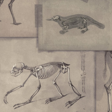 Papel Pintado ZOOARCHAEOLOGY WP20236 - MIND THE GAP