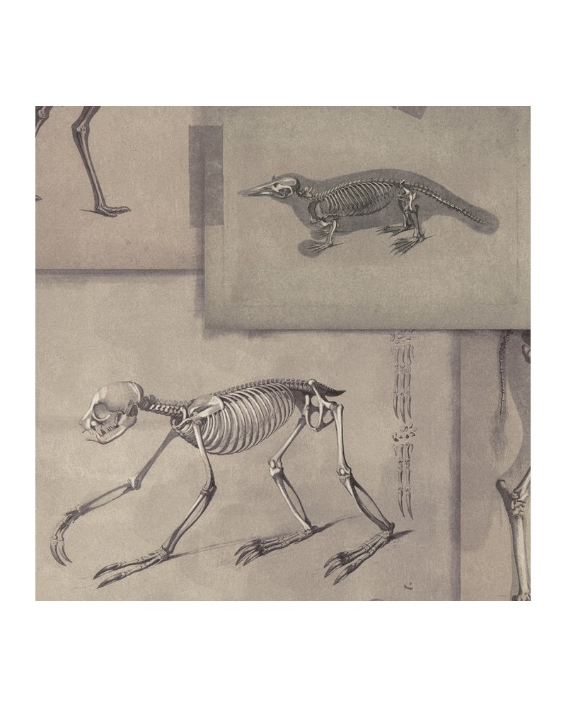 Wallpaper ZOOARCHAEOLOGY WP20236 - MIND THE GAP Wallpaper ZOOARCHAEOLOGY WP20236 - MIND THE GAP