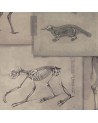 Papel de parede ZOOARCHAEOLOGY WP20236 - MIND THE GAP