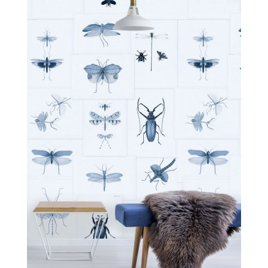 ENTOMOLOGIE Bleu WP20235