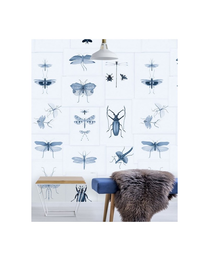 Papel de parede ENTOMOLOGY Blue WP20235 - MIND THE GAP