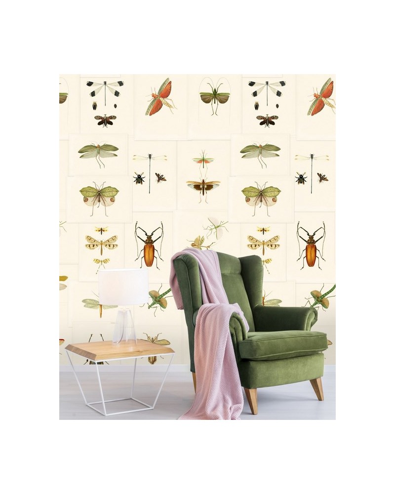 Papier peint ENTOMOLOGY WP20233 - MIND THE GAP