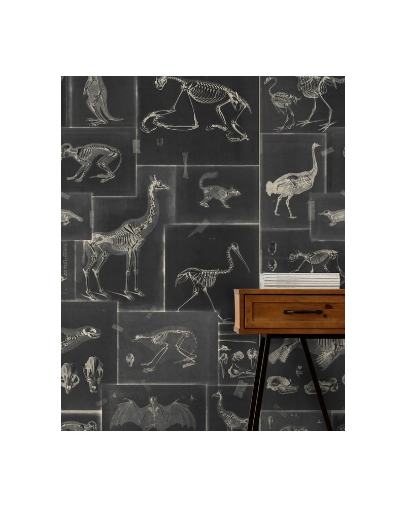 Papel de parede ZOOARCHAEOLOGY Anthracite WP20237 - MIND THE GAP