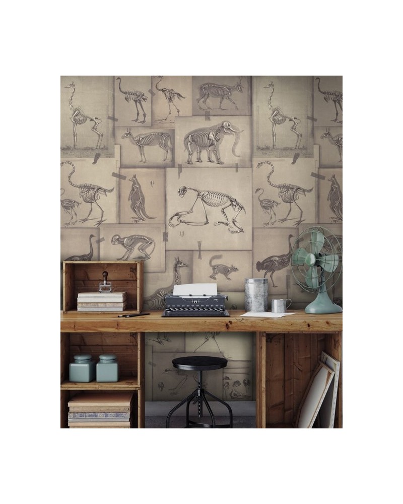 Wallpaper ZOOARCHAEOLOGY WP20236 - MIND THE GAP