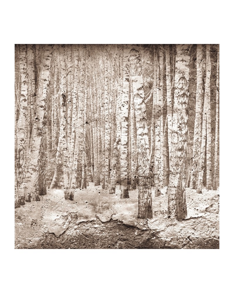 Carta da Parati 6500202 BROKEN FOREST SEPIA - COORDONNE
