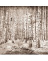 Carta da Parati 6500202 BROKEN FOREST SEPIA - COORDONNE