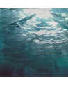 Carta da Parati 6500205 UNDERWATER - COORDONNE