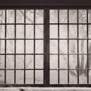 Carta da Parati 6500209 JAPANESE WINDOW - COORDONNE