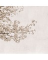 6500305 BLOSSOM ALMOND TREE GREY
