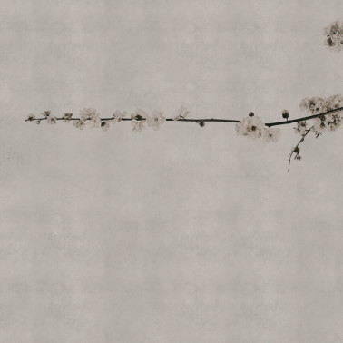 Carta da Parati 6500307 BLOSSOM BRANCH GREY - COORDONNE