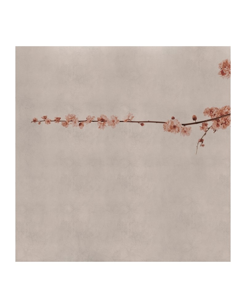 Carta da Parati 6500308 BLOSSOM BRANCH PINK - COORDONNE Carta da Parati 6500308 BLOSSOM BRANCH PINK - COORDONNE