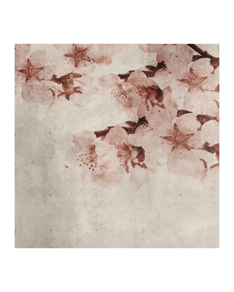 Carta da Parati 6500309 BLOSSOM BIG ALMOND FLOWER - COORDONNE Carta da Parati 6500309 BLOSSOM BIG ALMOND FLOWER - COORDONNE