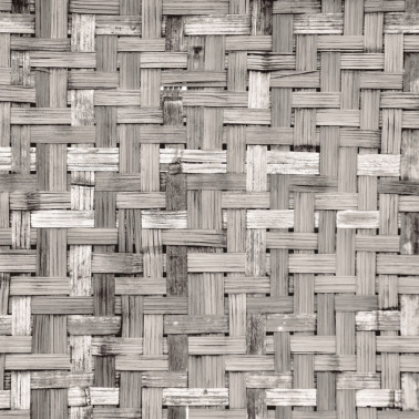 Carta da Parati 6500320 PALM TREE FRAME GREY - COORDONNE