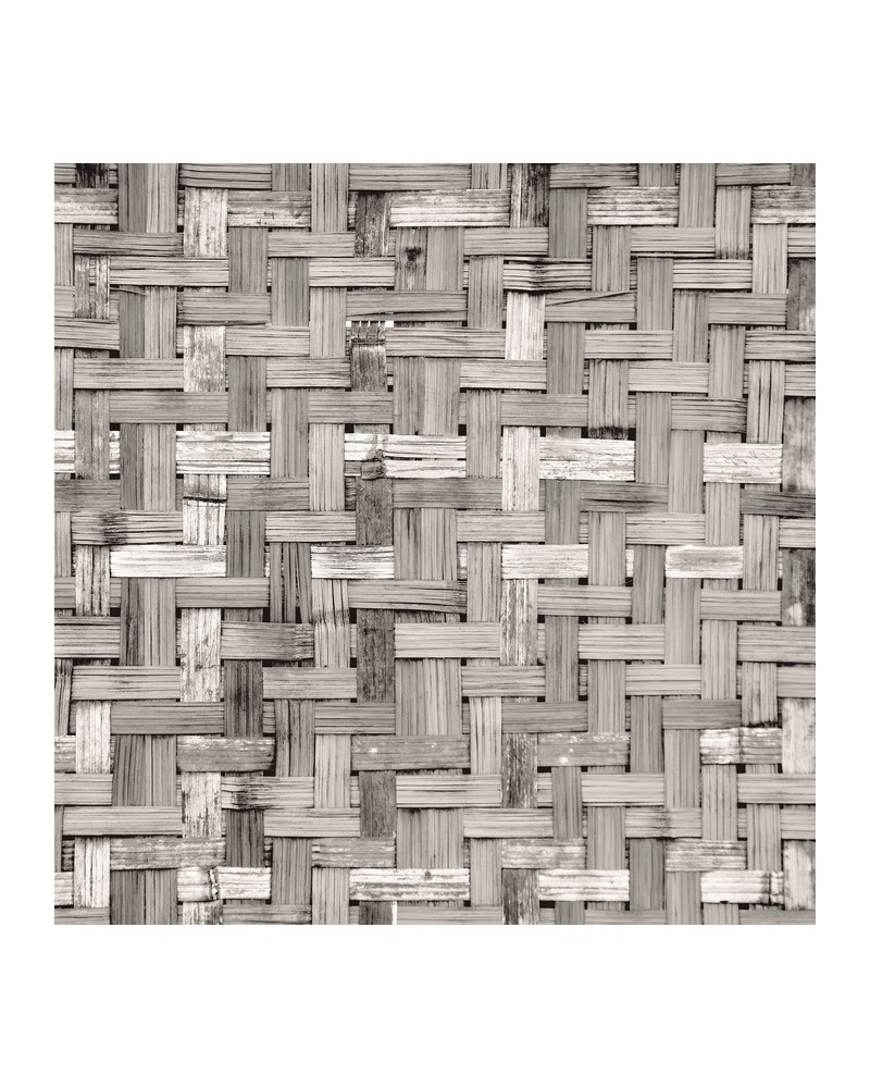 Carta da Parati 6500320 PALM TREE FRAME GREY - COORDONNE Carta da Parati 6500320 PALM TREE FRAME GREY - COORDONNE