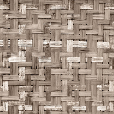 Carta da Parati 6500321 PALM TREE FRAME SEPIA - COORDONNE