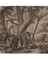 Carta da Parati 6500506 ELEPHANTS - COORDONNE