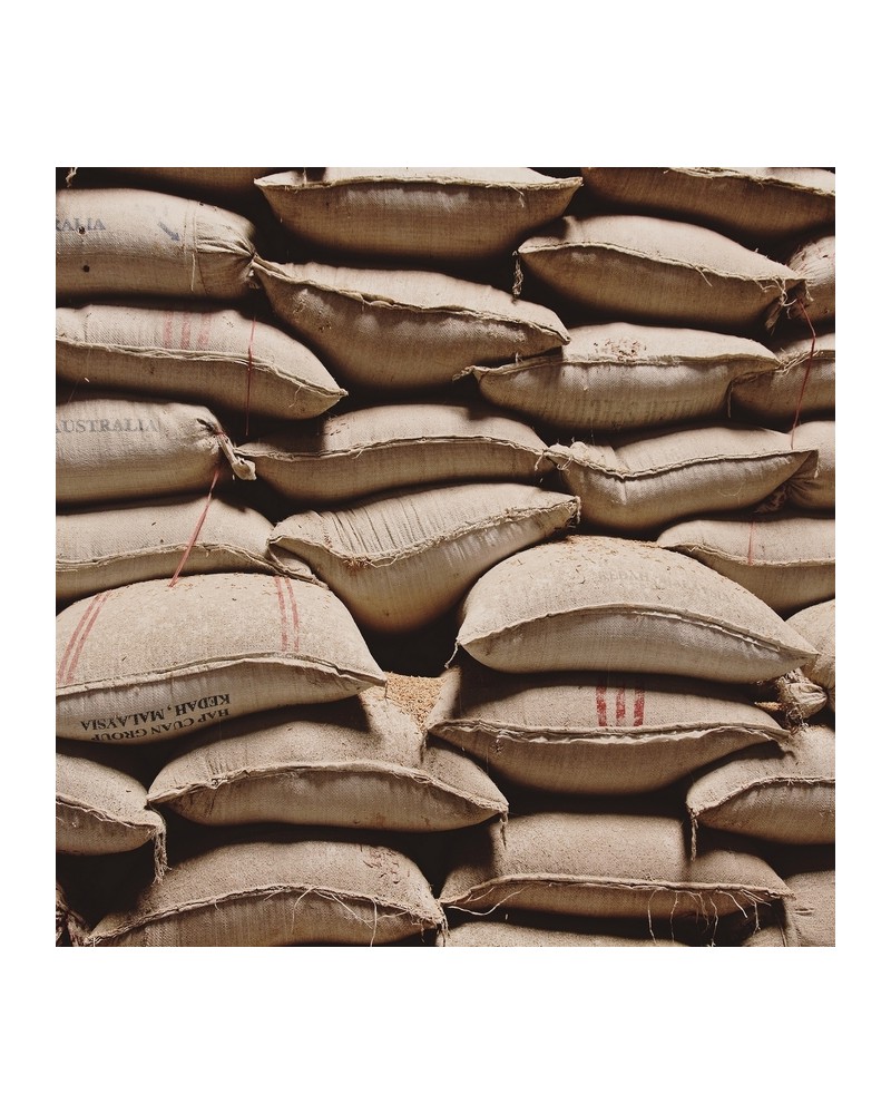 Tapete 6500801 SACKS - COORDONNE Tapete 6500801 SACKS - COORDONNE