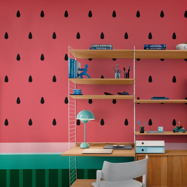 6500017 FRUIT WATERMELON