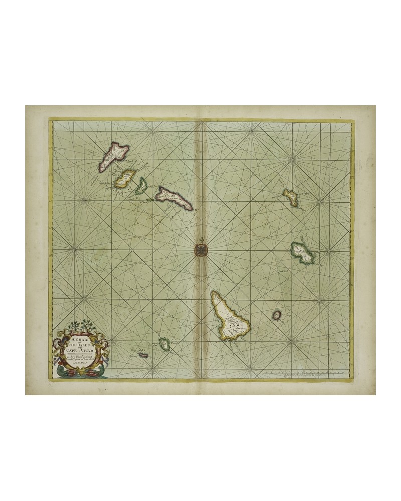 Carta da Parati 6500104 CAPE VERD - COORDONNE