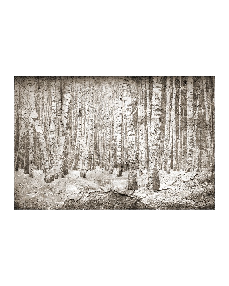 Carta da Parati 6500202 BROKEN FOREST SEPIA - COORDONNE