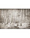 Wallpaper 6500202 BROKEN FOREST SEPIA - COORDONNE
