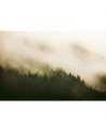 Papel Pintado 6500204 WOODS FOR FOREST - COORDONNE