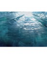 Carta da Parati 6500205 UNDERWATER - COORDONNE