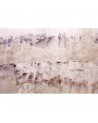 Carta da Parati 6500301 PINK OLD WALL - COORDONNE