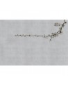 Carta da Parati 6500307 BLOSSOM BRANCH GREY - COORDONNE