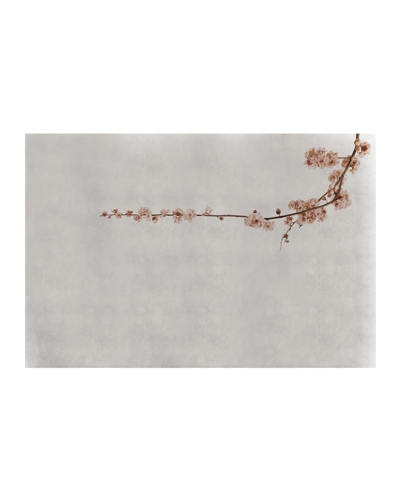 Carta da Parati 6500308 BLOSSOM BRANCH PINK - COORDONNE