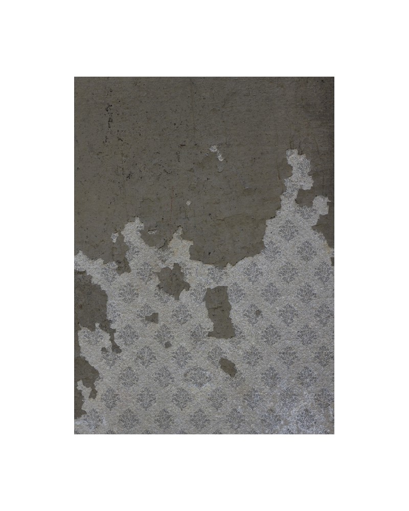 Carta da Parati RANDOM PAPERS 6500313 - COORDONNE